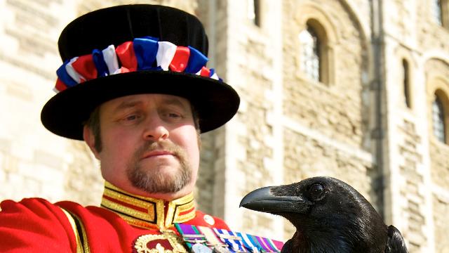 the-total-london-experience_tower-of-london-beefeater-and-raven-image-courtesy-of-historic-royal-palaces_59884b3eb902fe30f81ec7bed48af7f9